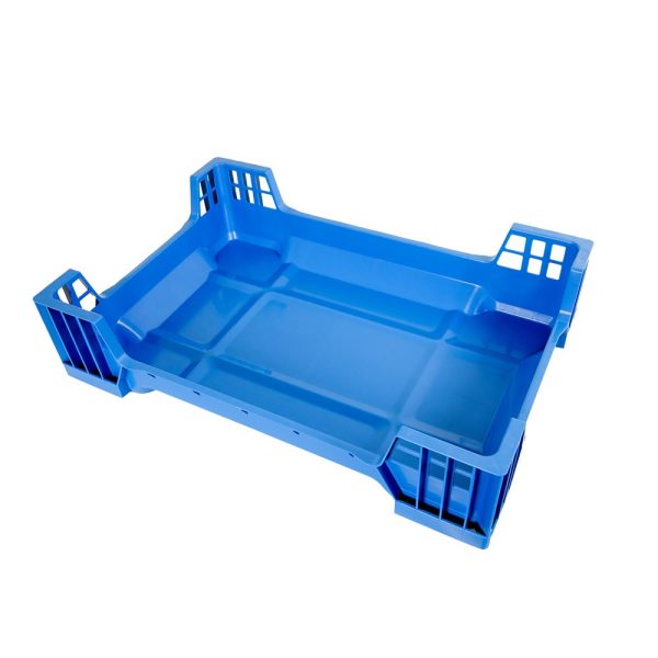 Caja cría de insectos